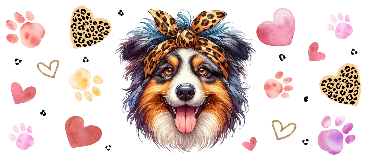 Australian Sheperd