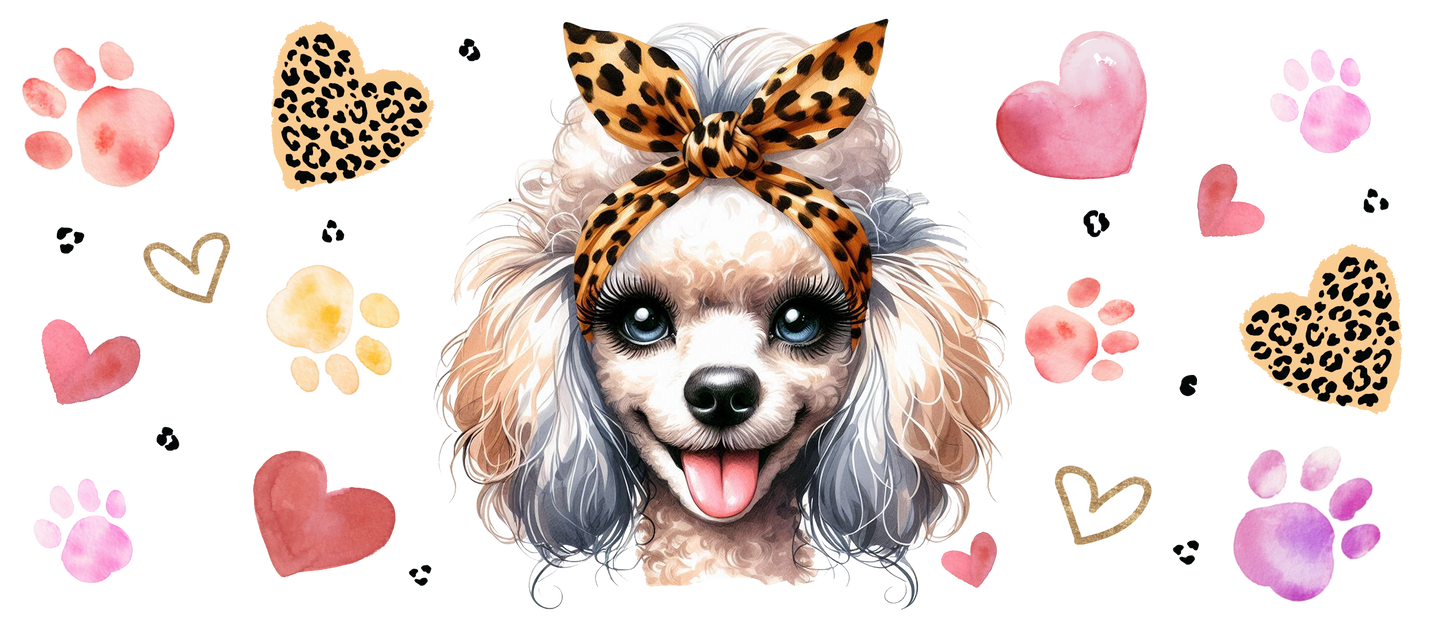 poodle