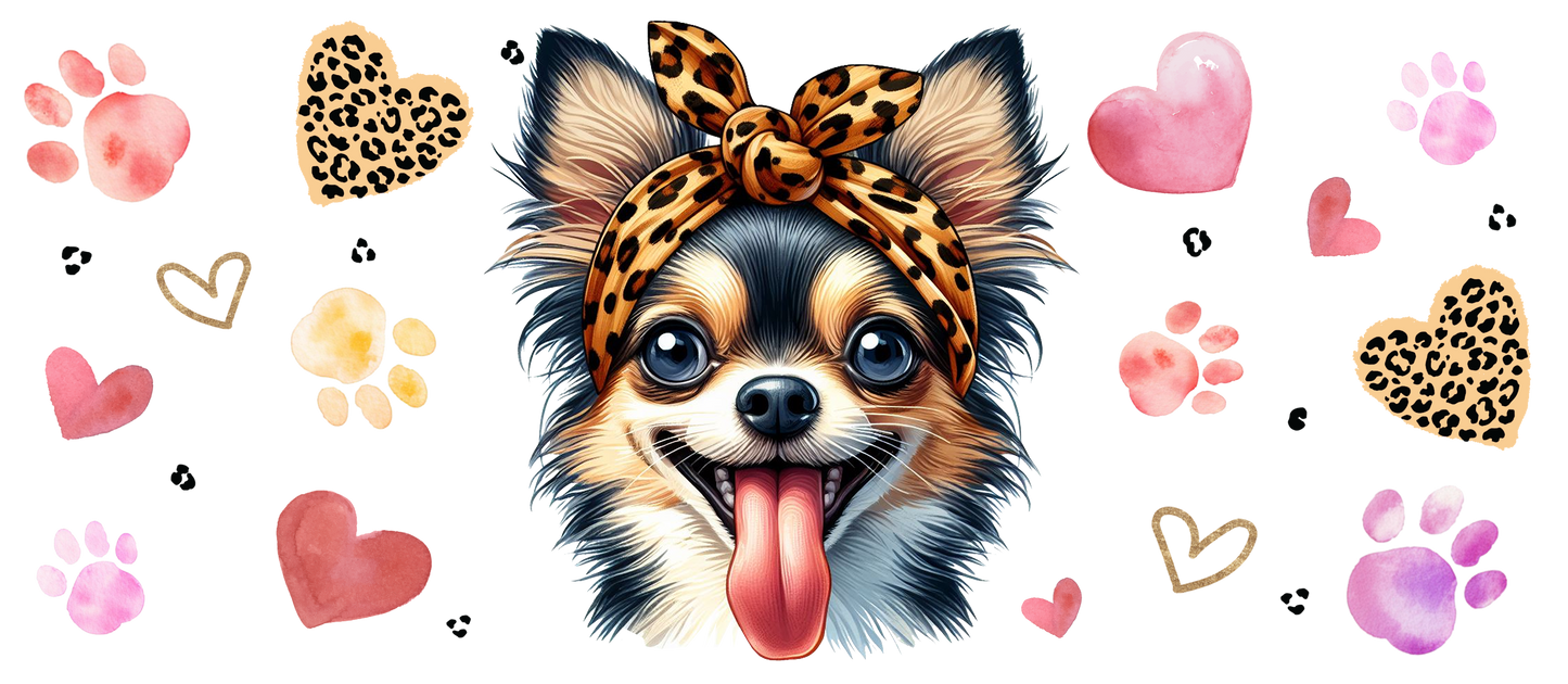 Chihuahua