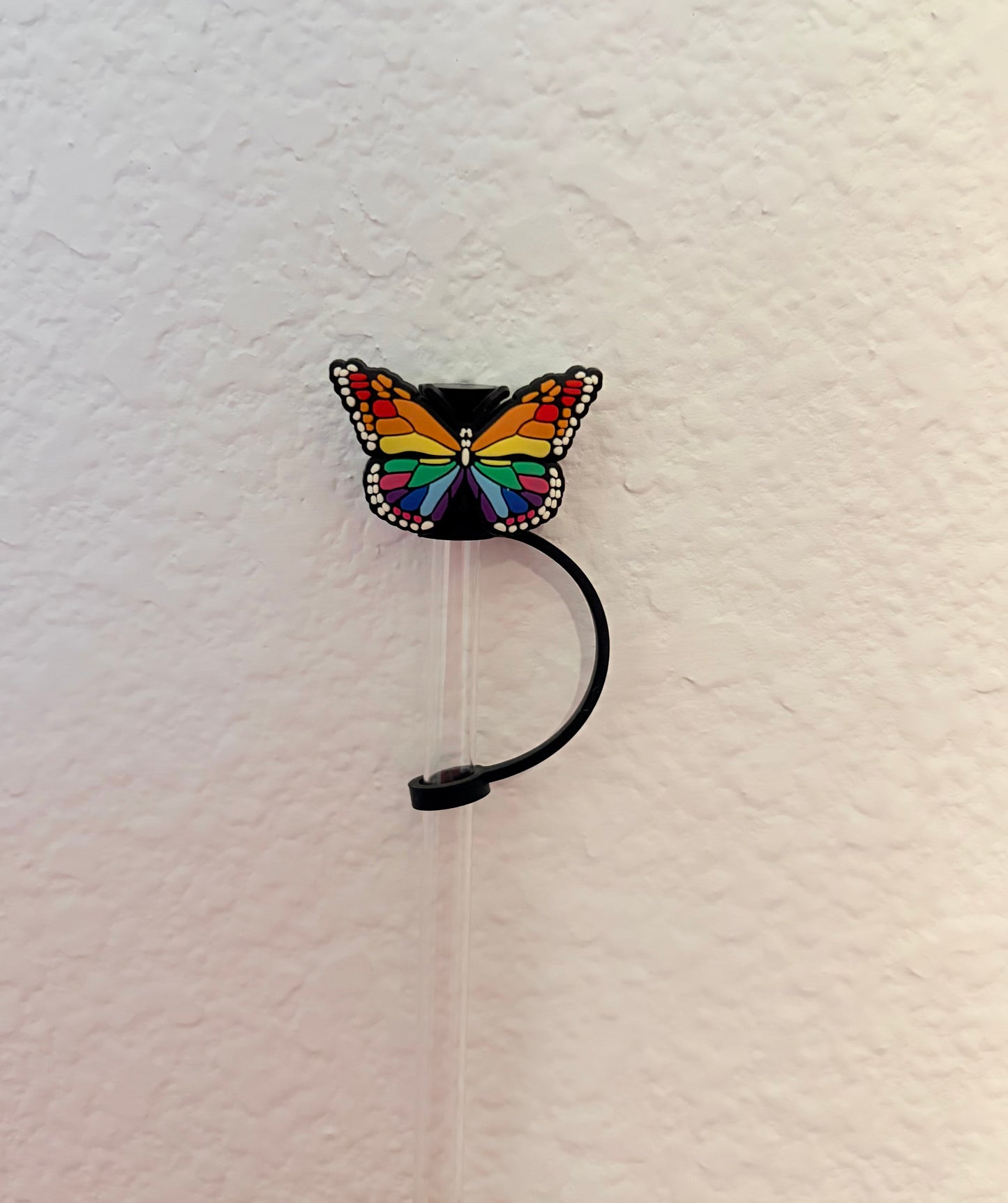 Rainbow Butterfly