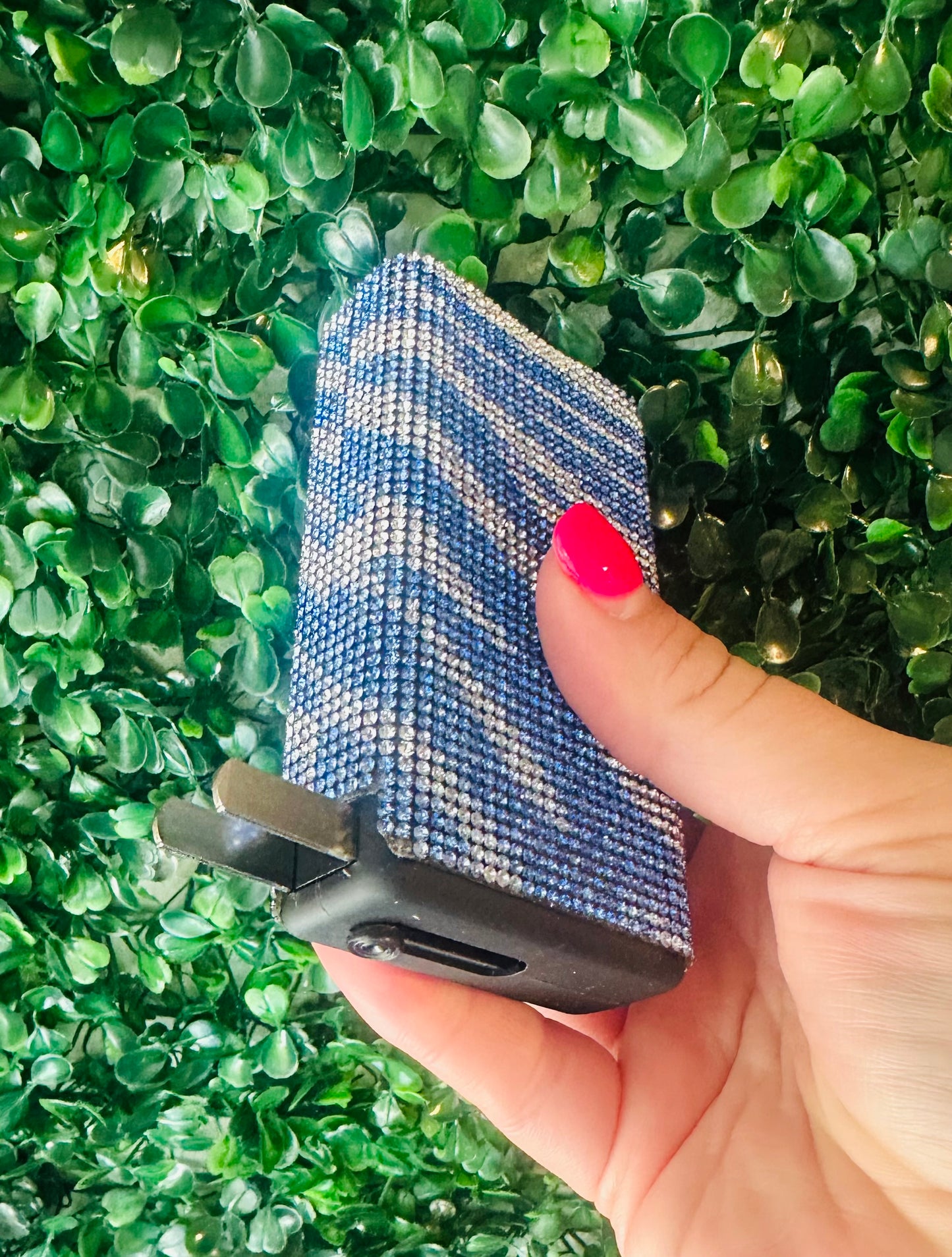 Zebra Blue
