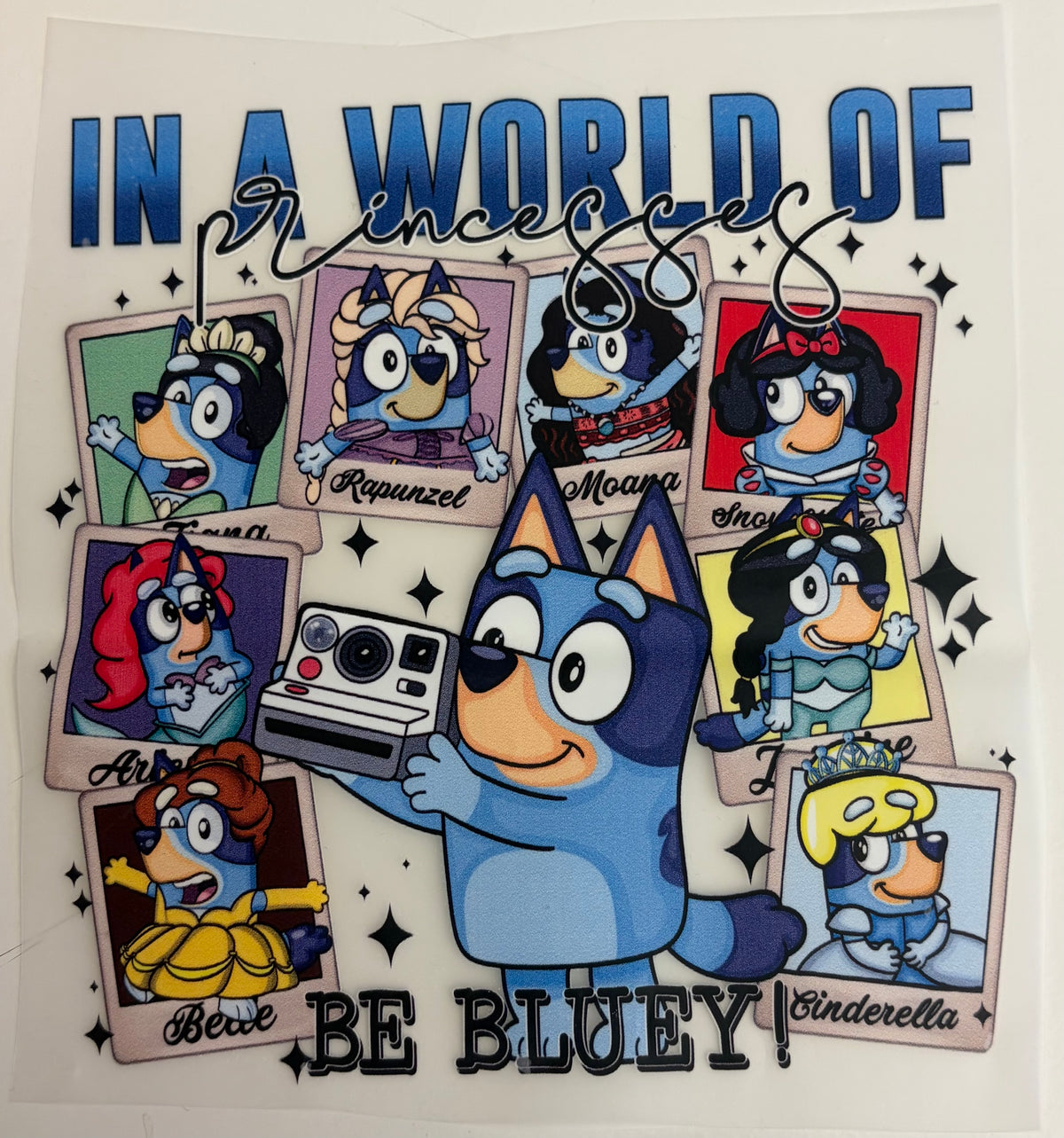 In a world of princesses be Bluey