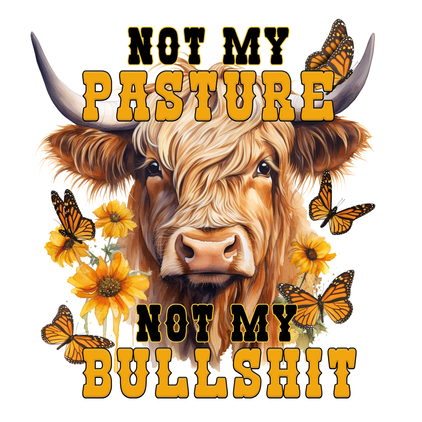 Not my bullshit