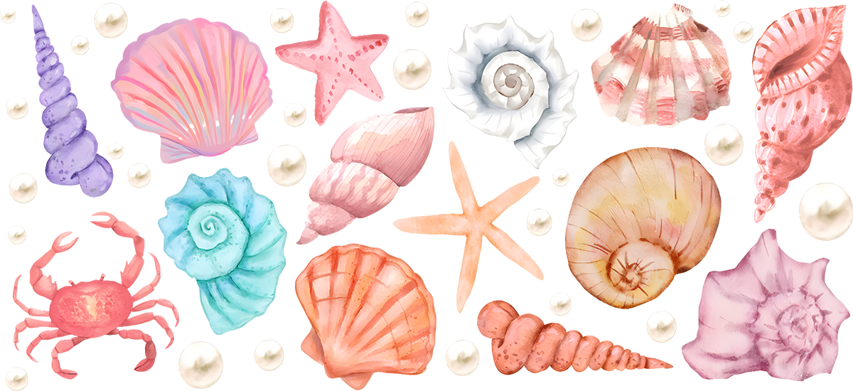 Shells