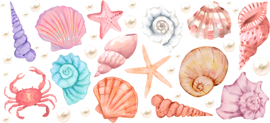 Shells