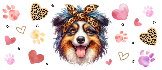Australian Sheperd