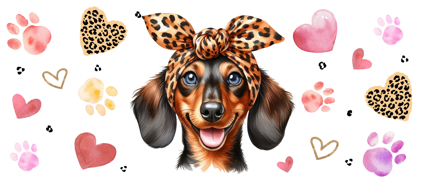 Dachshund