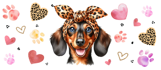 Dachshund