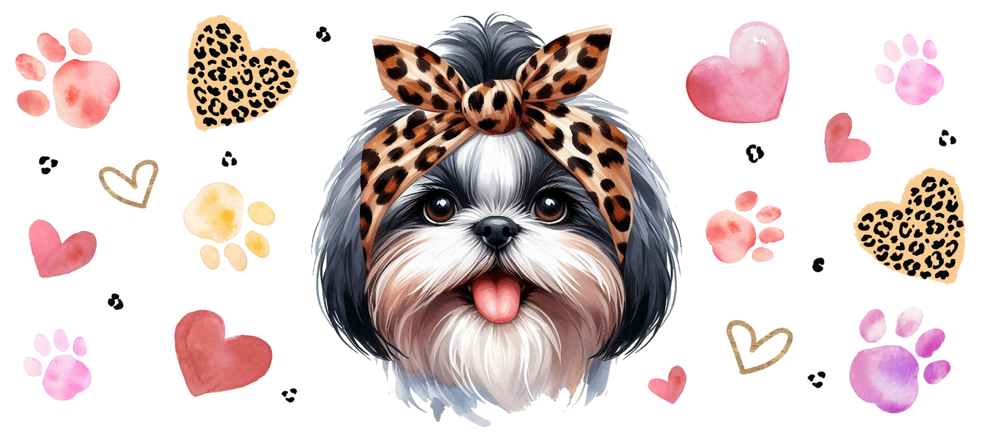 Shih tzu