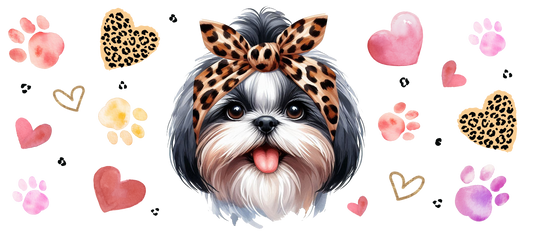 Shih tzu