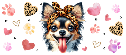 Chihuahua