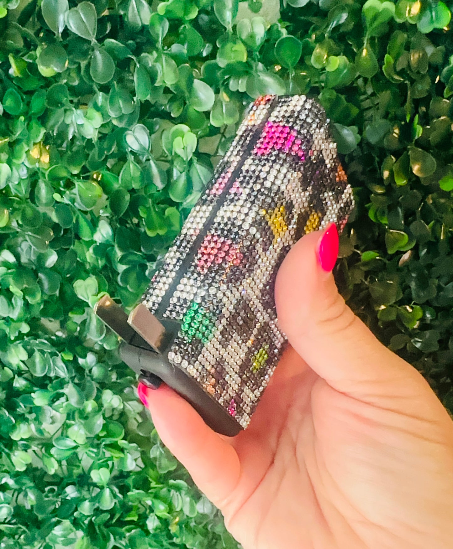 Leopard Rainbow