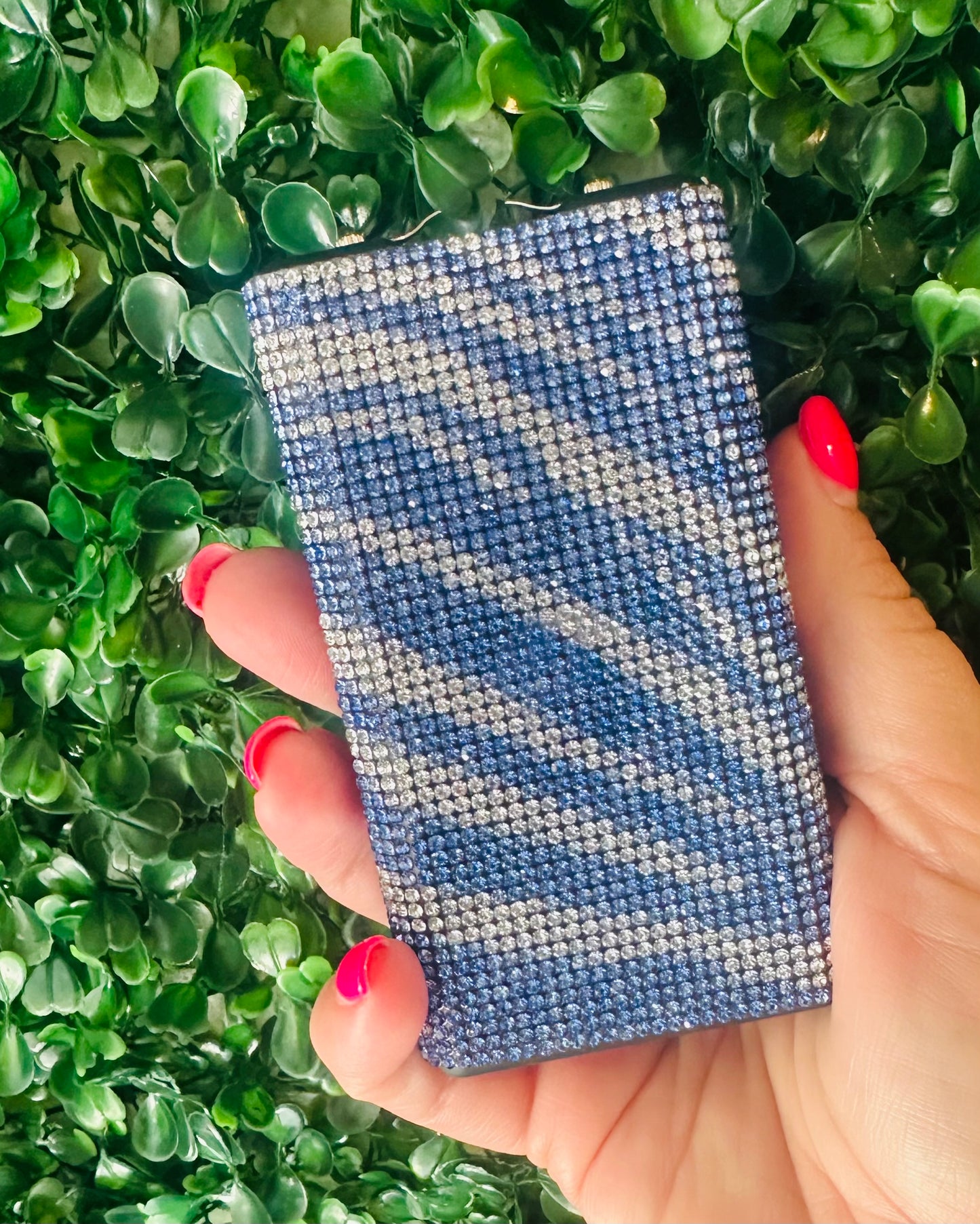 Zebra Blue