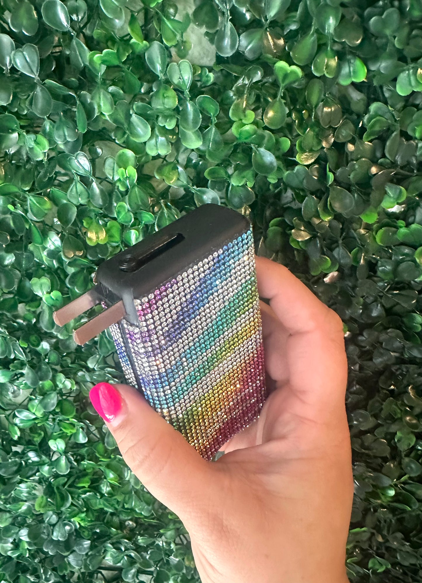 Zebra Rainbow