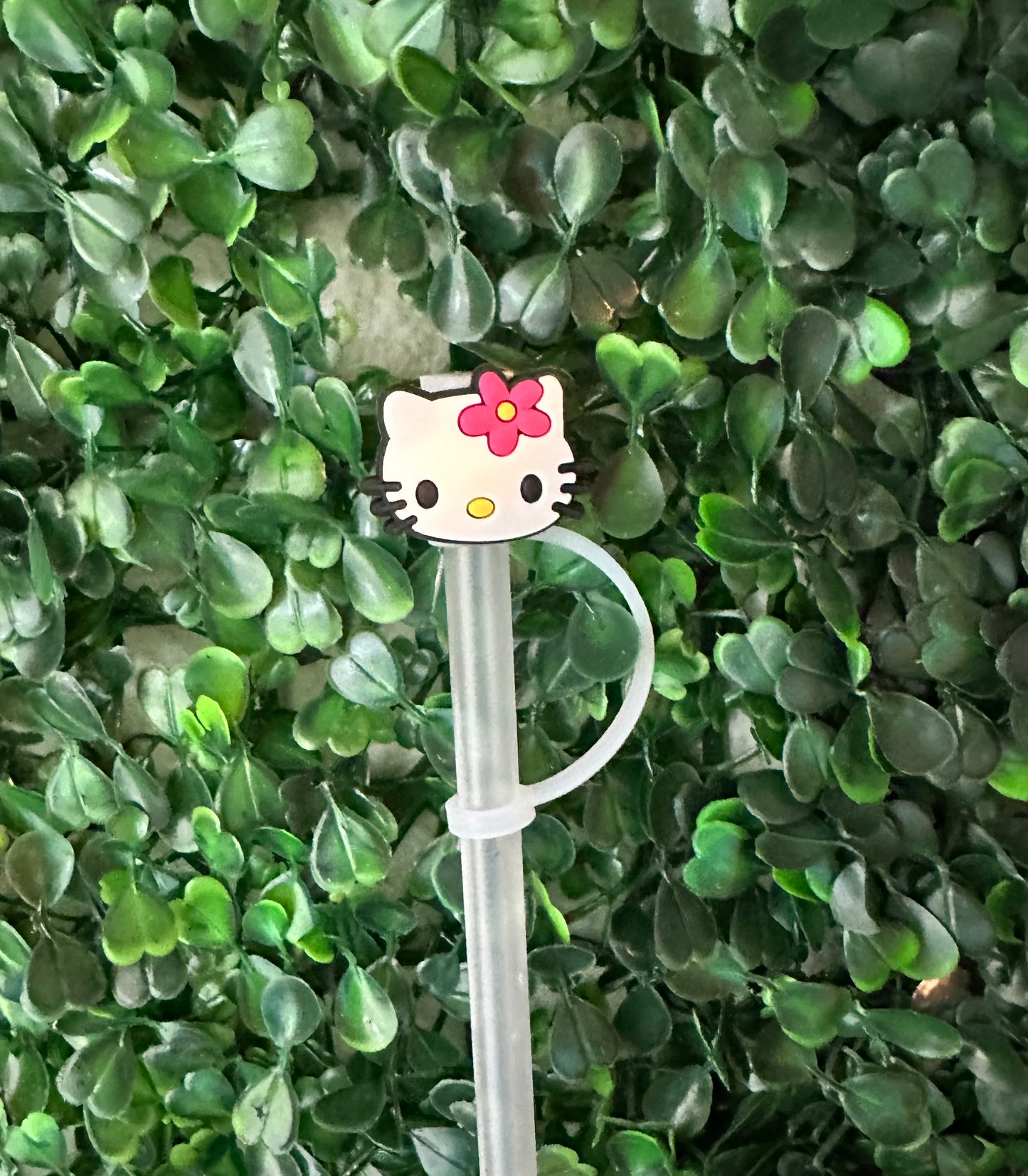 HK (face)