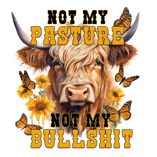 Not my bullshit